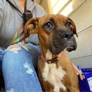 Meet your Posher, Danielle